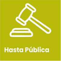 Hasta Pública