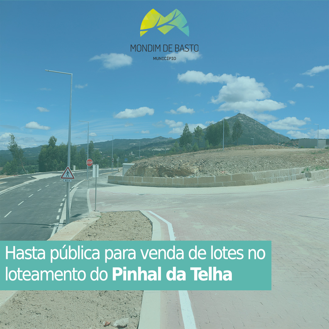Hasta pública para venda de lotes no Pinhal da Telha