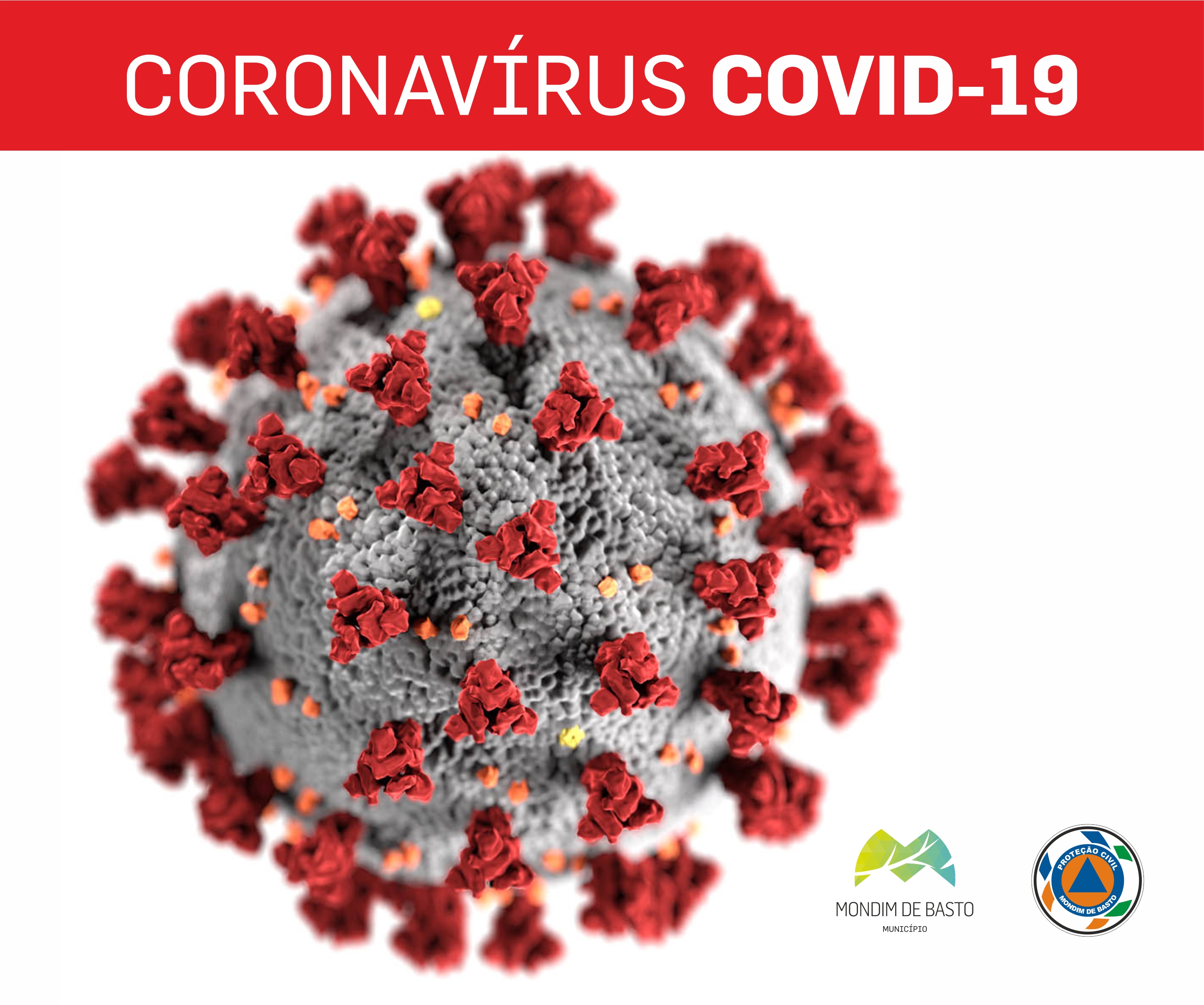 IMAGEM COVID 19