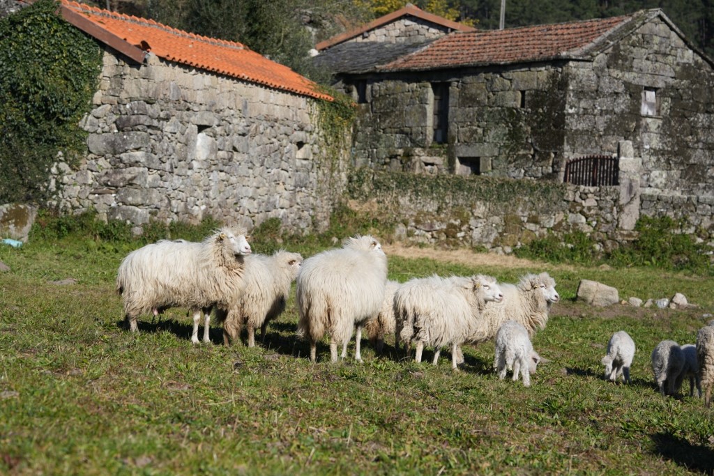 Produção Agropecuária