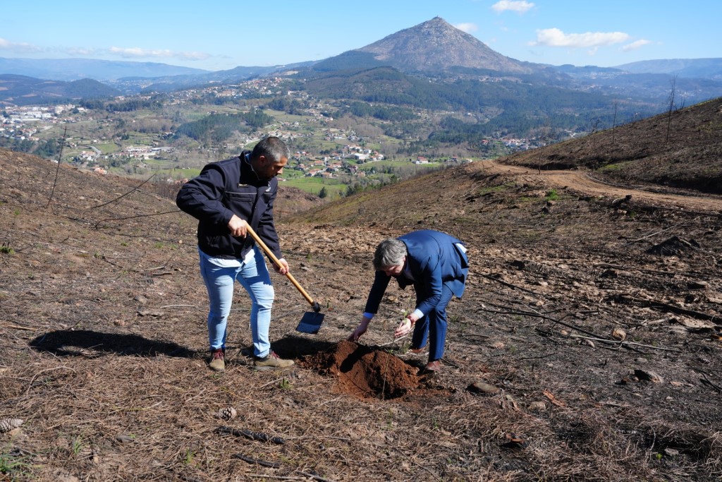 Plantação Dia da Árvore