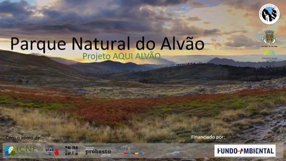Aqui Alvão