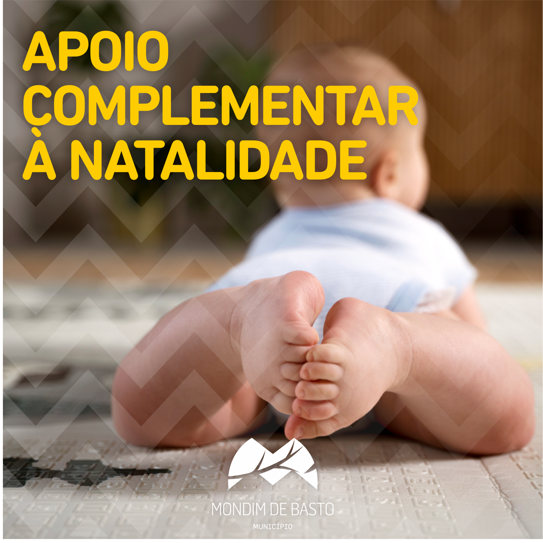 Apoio Complementar à Natalidade