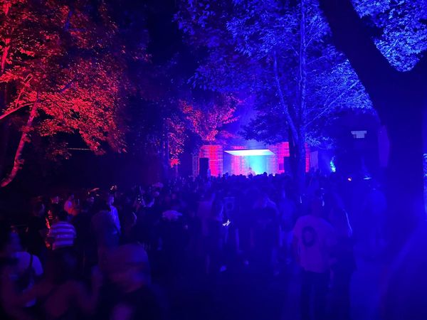 Vinculum Festival 2024